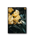 Tulip Frame